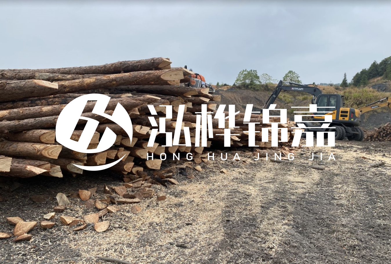 松木樁尾徑是什么意思?