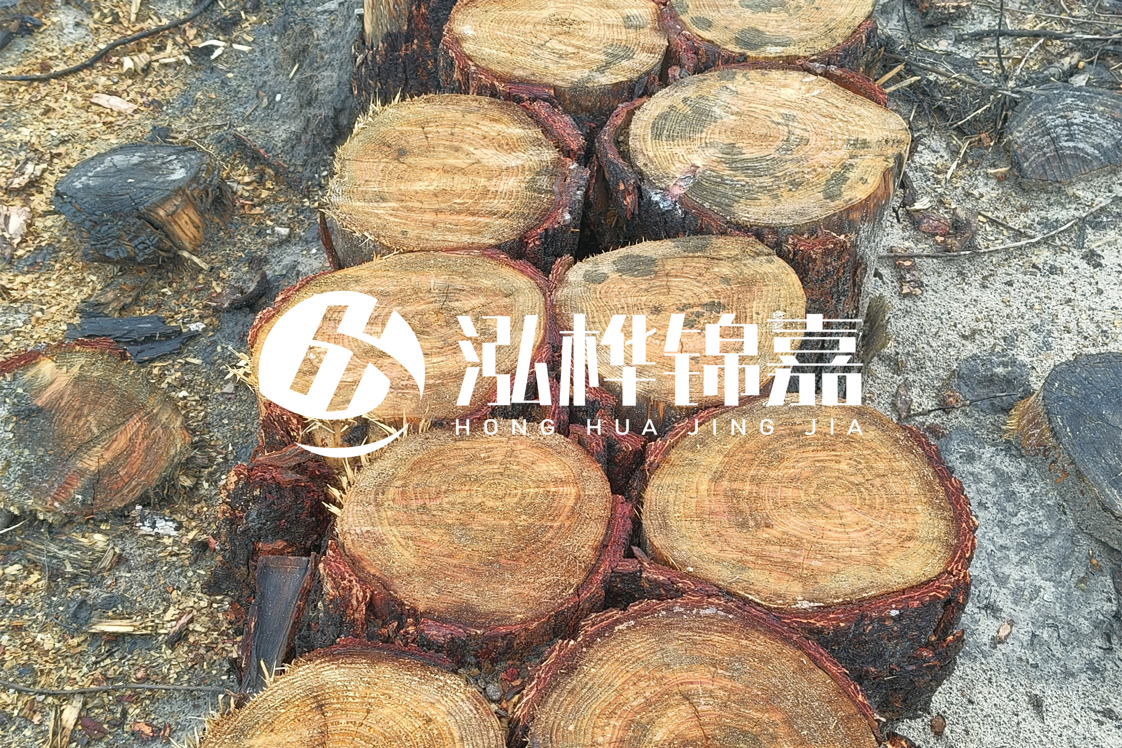 浙江臺州有清淤的公司嗎？浙江臺州有清淤施工隊嗎？