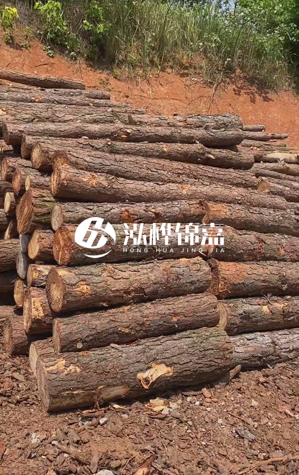 七臺河河道清淤專業(yè)施工-河道清淤的淤泥多久能干?