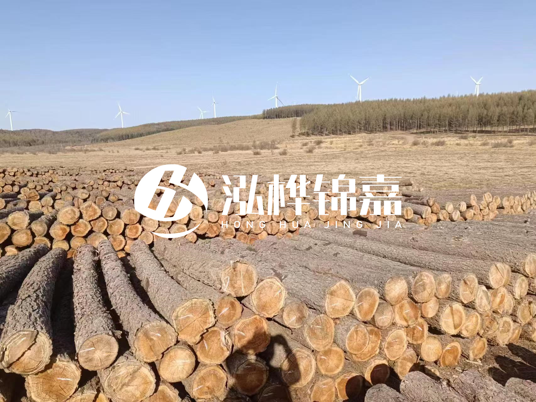 咸寧松木樁源頭廠家-哪里能買到質(zhì)量好的松木樁打樁木?