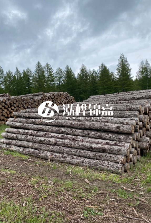 長沙松木樁源頭廠家-如何甄別松木樁打樁木的質(zhì)量好壞?