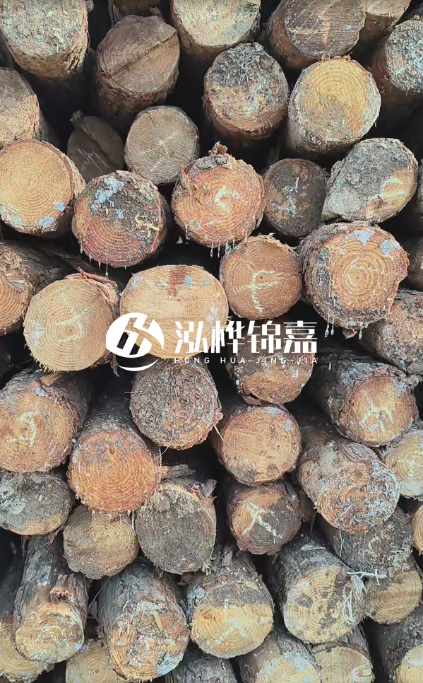 邵陽松木樁源頭廠家-松木樁護岸適合哪些地理環(huán)境?