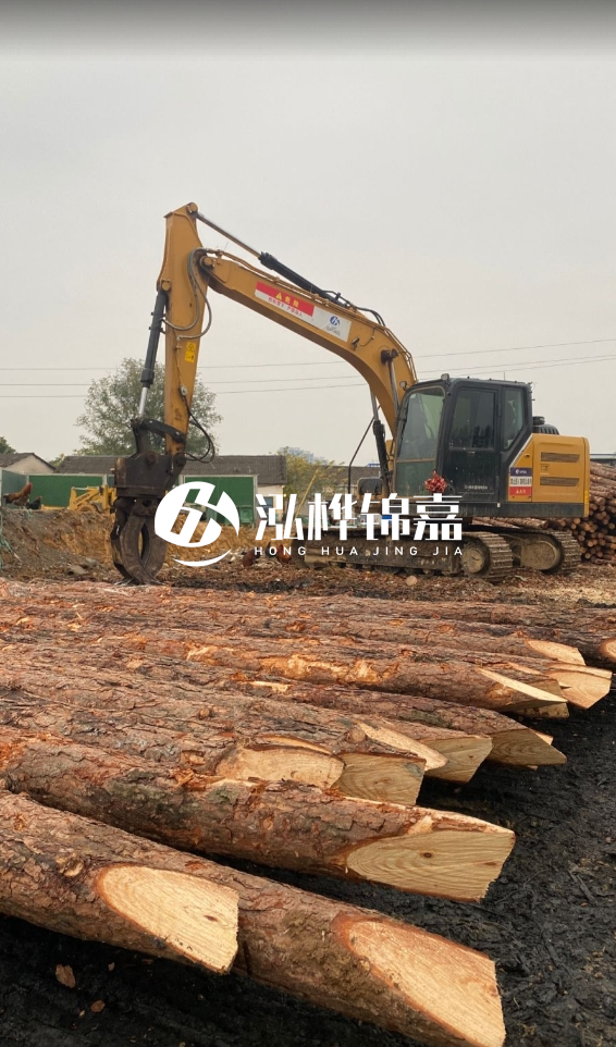 北海松木樁源頭廠(chǎng)家-松木樁價(jià)格4米多少一根？