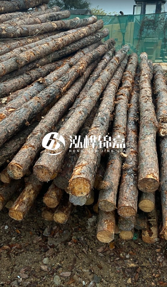 徐州松木樁批發源頭廠家-松木樁需要做防腐嗎?
