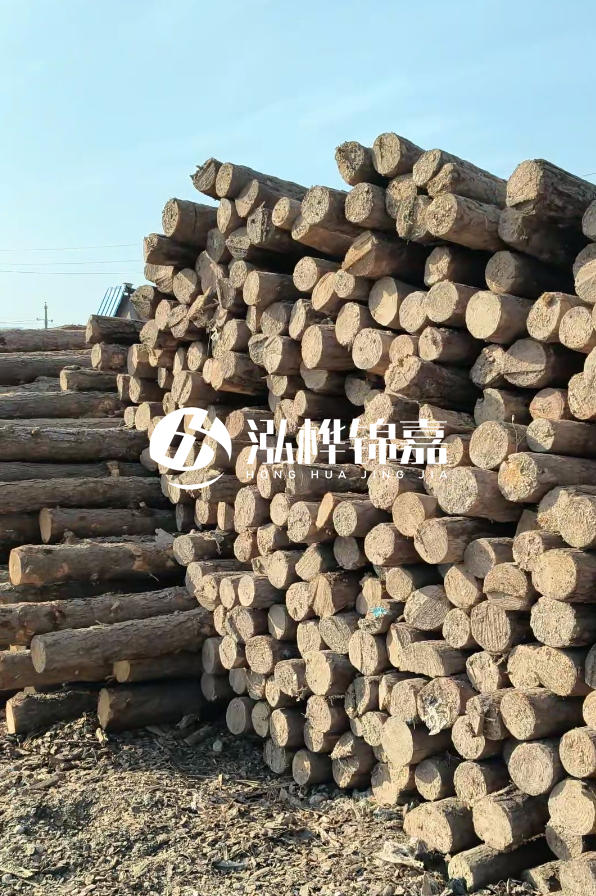 國內(nèi)哪里的松木樁便宜又好?五大高性價(jià)比產(chǎn)地推薦