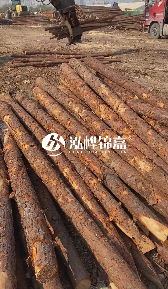 4.5米松木樁直徑14一根多少錢?5米14厘米多少錢?