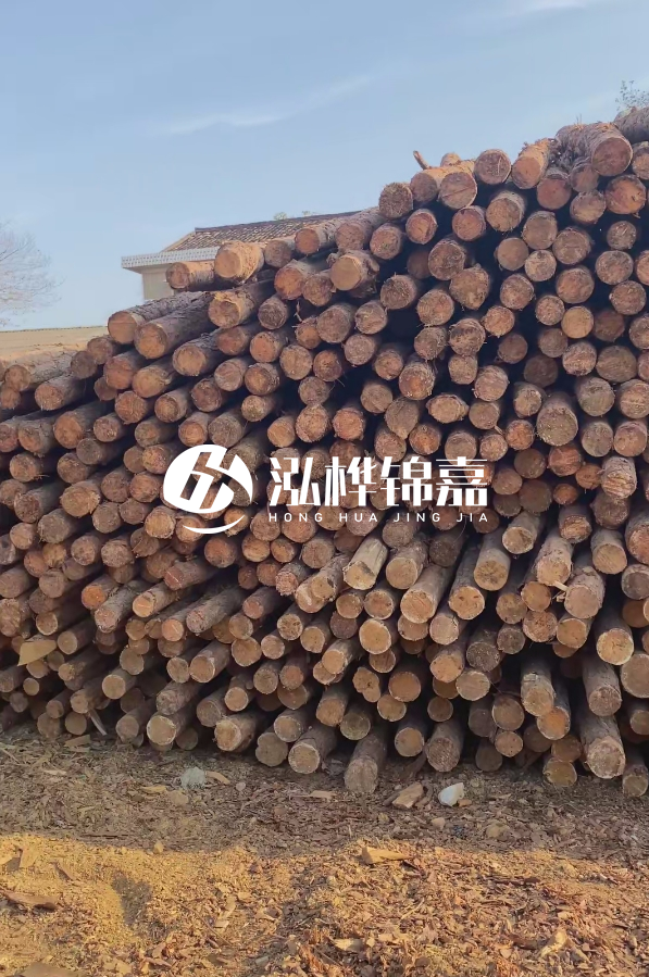 河道木樁6米多少錢一根?按小頭報價還是按大頭?