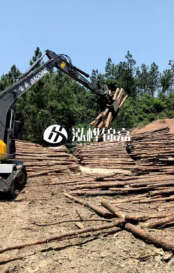 云南4米松木樁批發(fā)價(jià)格多少-4米小頭13-15直徑多少錢一根？