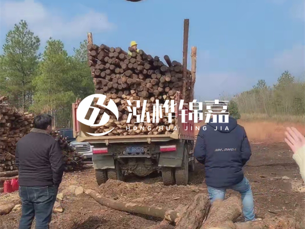 松木樁價(jià)格是按米算還是按根算？6米松木樁批發(fā)價(jià)每根多少錢？