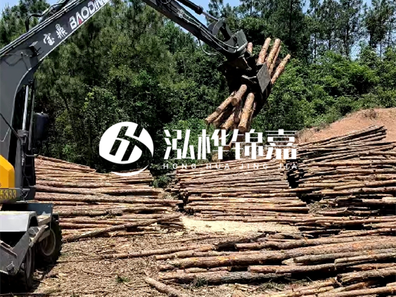 3米松木樁小頭10公分多少錢一根？大頭10公分又是多少錢？