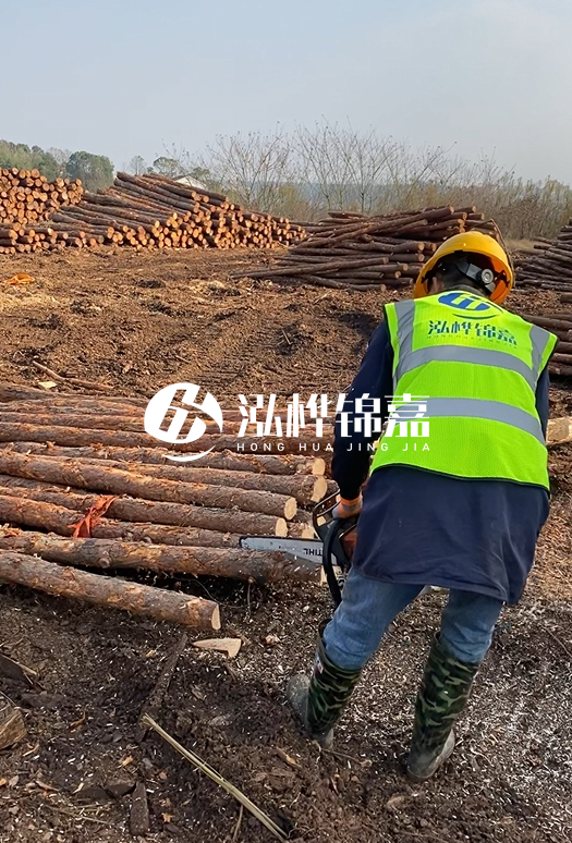 廣東松木樁3米生產(chǎn)廠家-3米直徑12松木樁多少錢?