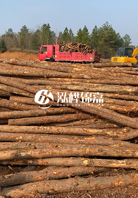 8米小頭11-13CM的松木樁價(jià)格是多少?打樁施工怎么算?