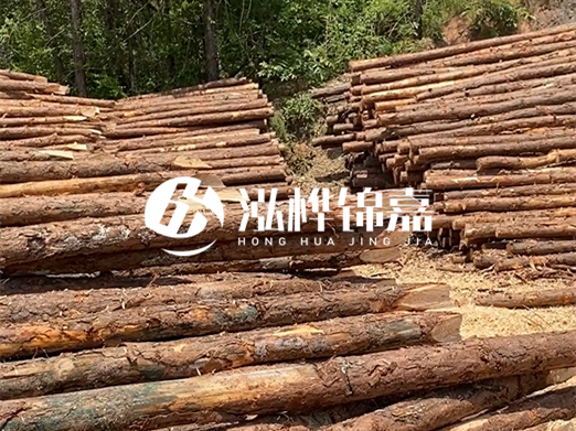 松木樁的運(yùn)輸費(fèi)用是否包含卸車(chē)費(fèi)?卸貨時(shí)需要注意哪些安全問(wèn)題?