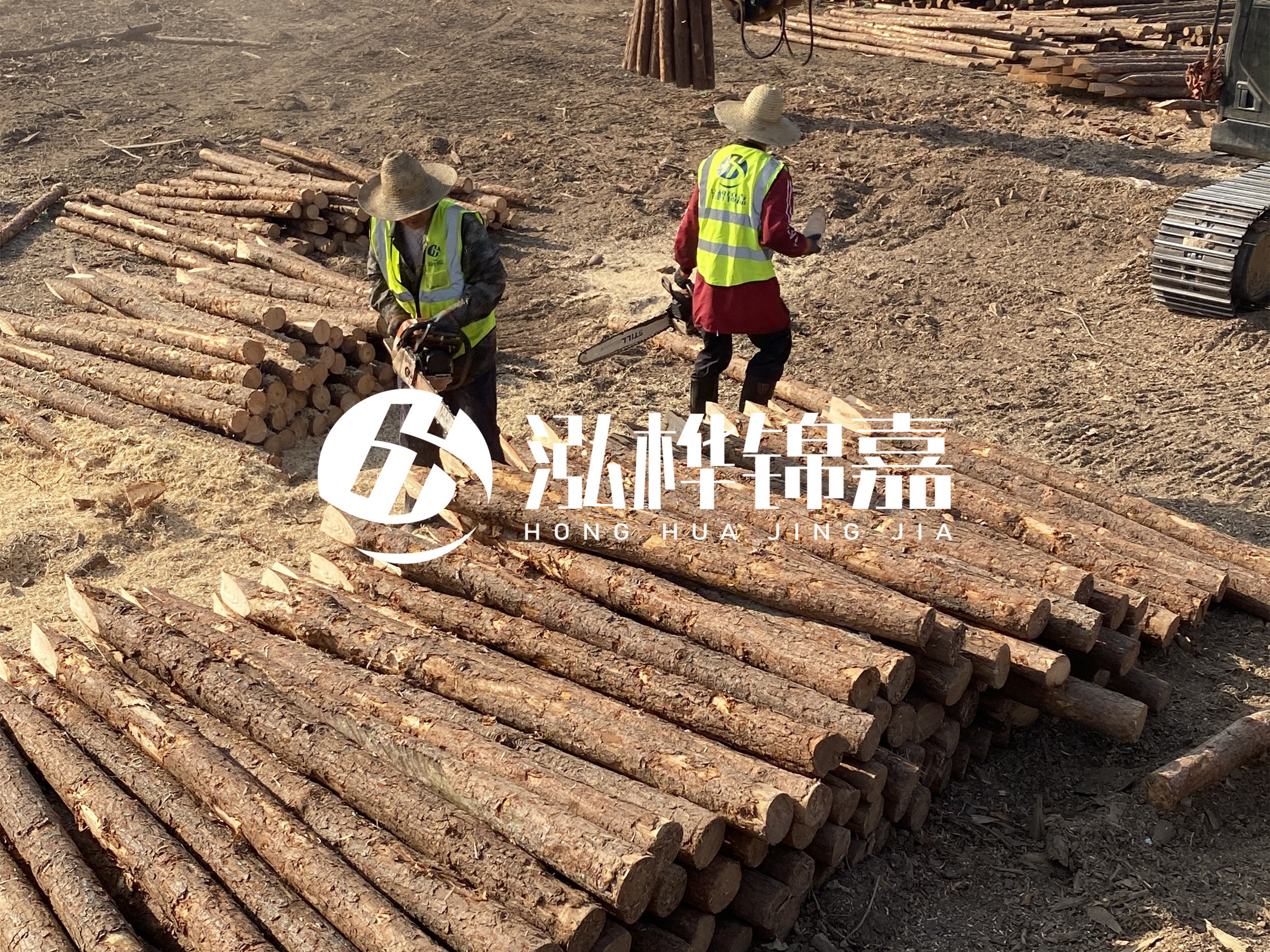 河道木樁報(bào)價(jià)在汛期前后會(huì)有波動(dòng)嗎?什么時(shí)候買(mǎi)最便宜?