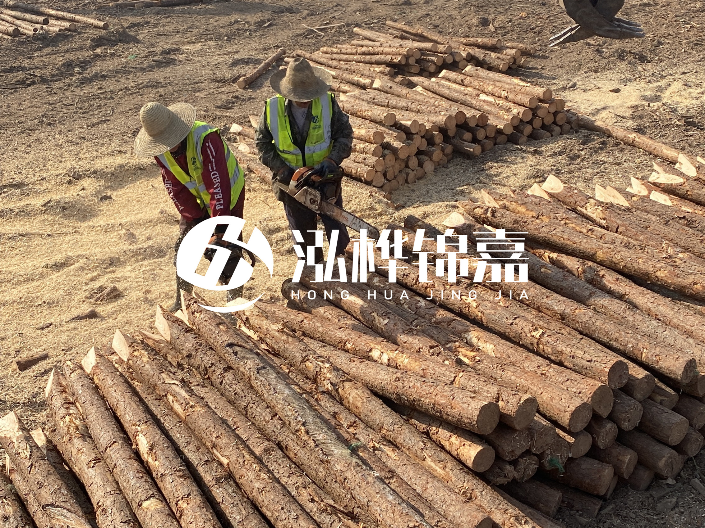 河北打樁木廠(chǎng)家主要生產(chǎn)哪些材質(zhì)的打樁木？產(chǎn)品有哪些規(guī)格？