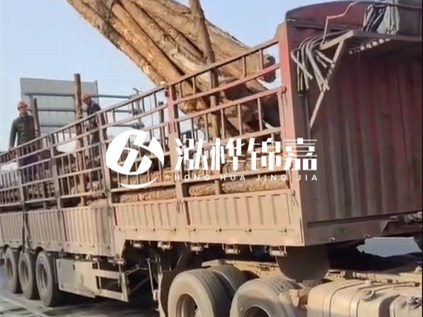 4米長杉木10公分價格-4.5米直徑15cm 杉木多少錢？