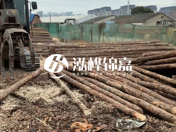 碳化木樁和防腐木樁有什么區(qū)別-哪一種防腐效果更好?