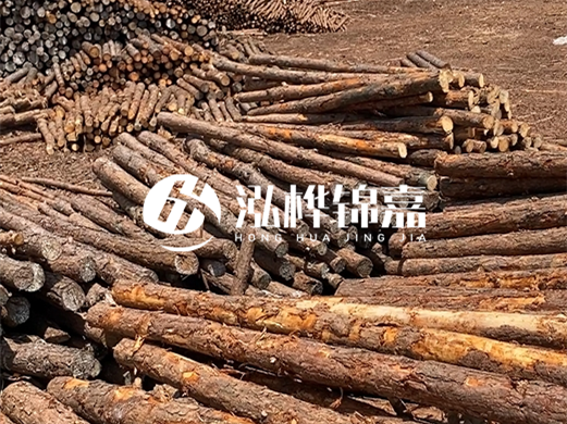 浙江打樁木源頭廠家泓樺錦嘉-松木廠家批發電話地址?