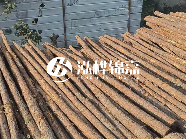 松木樁打樁后清淤怎么處理？有沒有全包的公司？