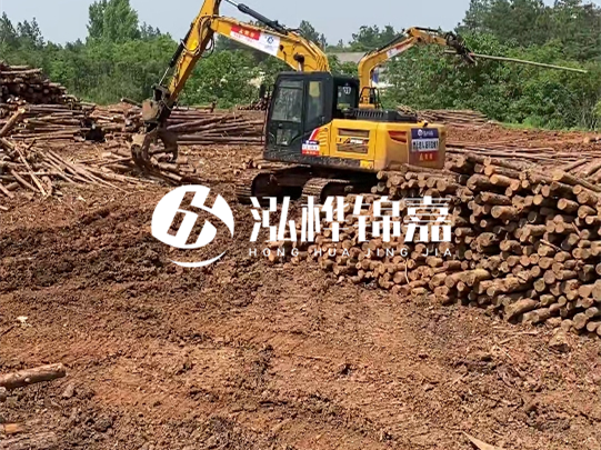 河道松木樁廠家聯系方式-6米10-15公分價格是多少？