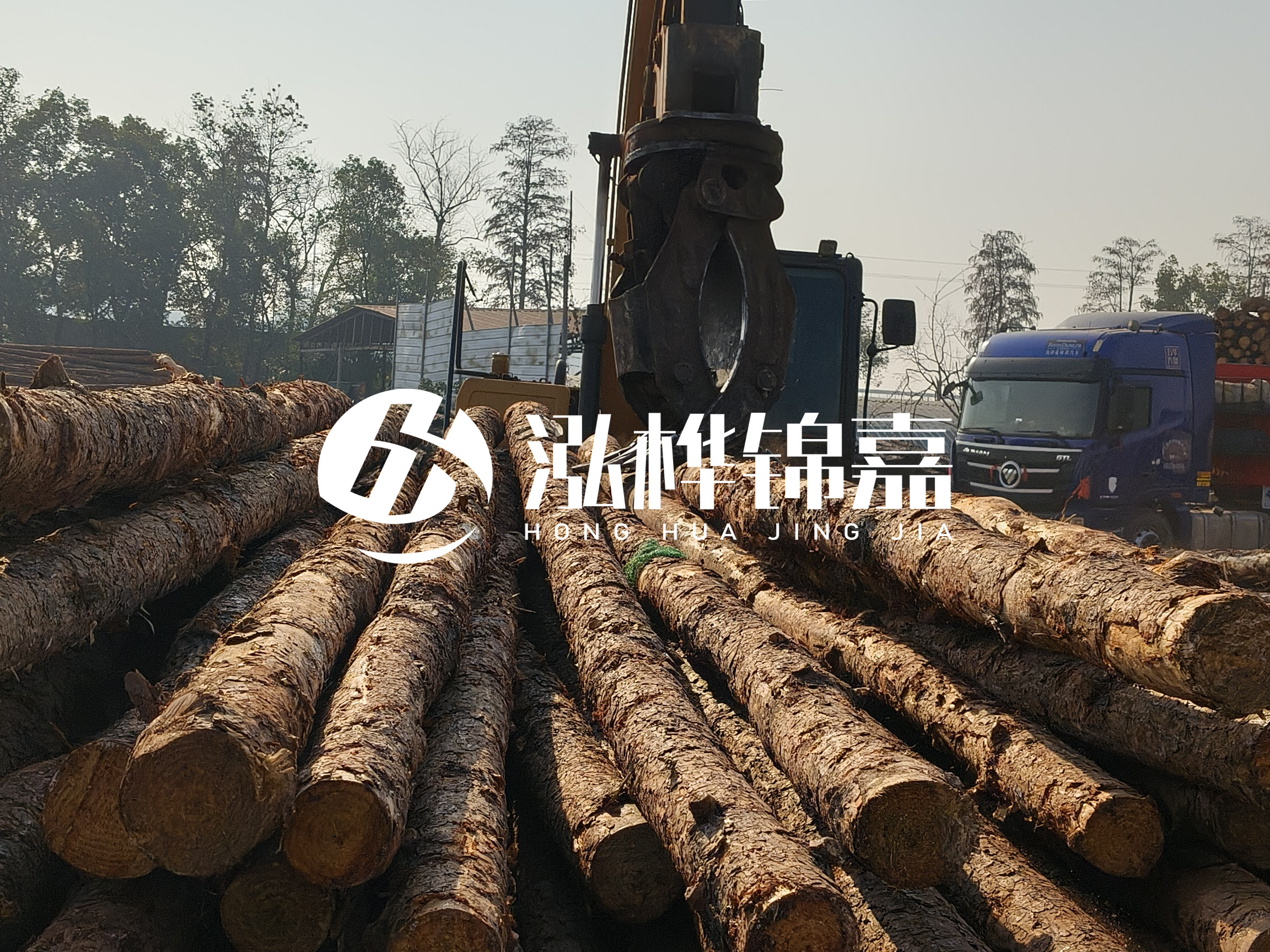 松木樁可以用來做什么?常用于哪些工程?