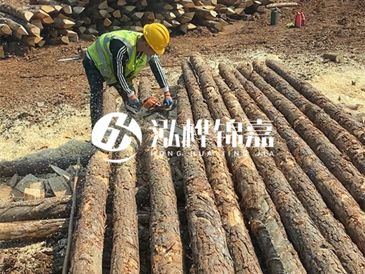 松木樁批發廠家泓樺錦嘉-河道打樁木施工中怎么防止樁頭被打壞？