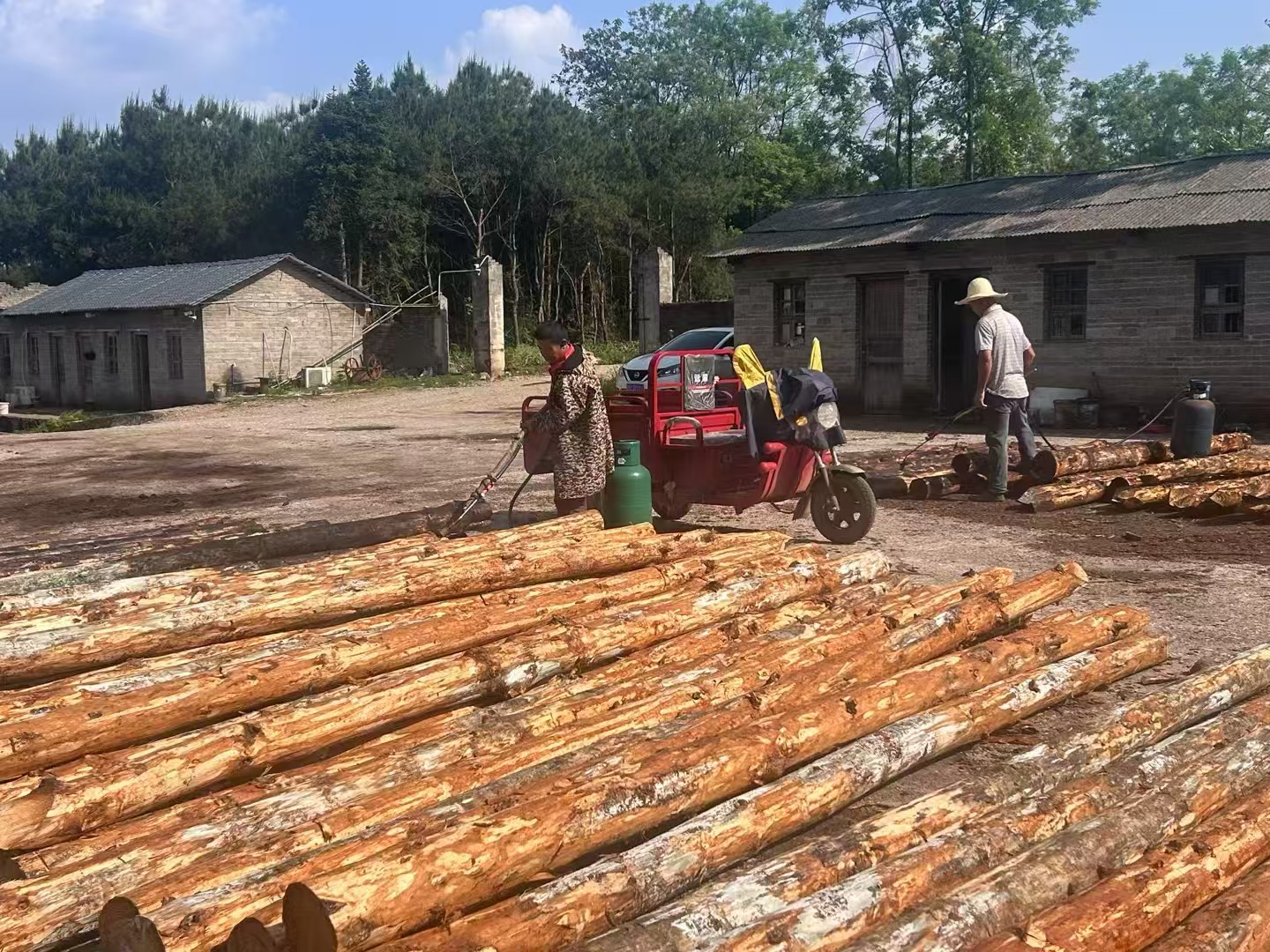 松木樁批發(fā)廠家泓樺錦嘉-圍堰松木樁為什么要交錯排列?