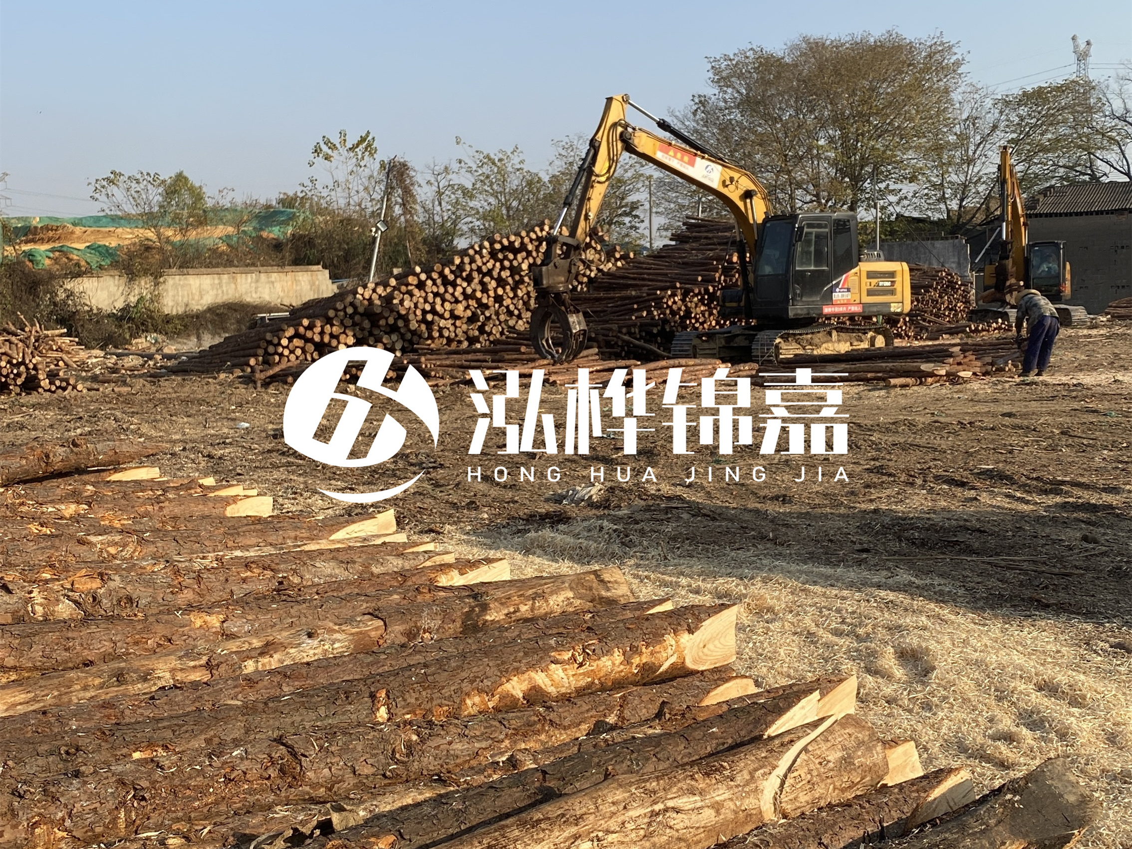 松木樁批發廠家泓樺錦嘉-松木樁廠家能開發票嗎？