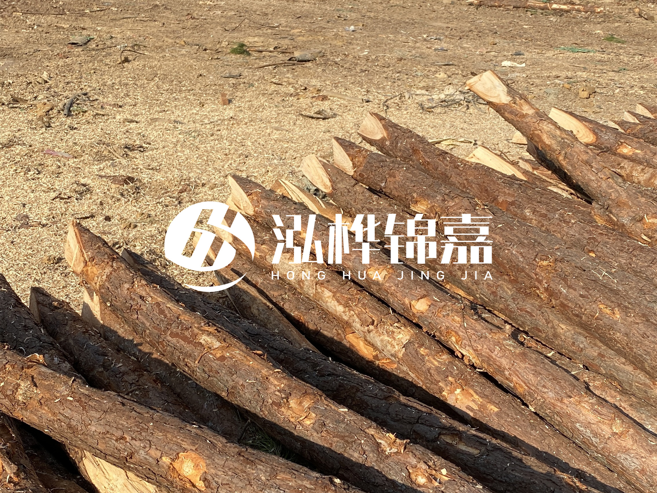 松木樁施工隊(duì)泓樺錦嘉 - 落葉松的直徑能達(dá)到20cm嗎？