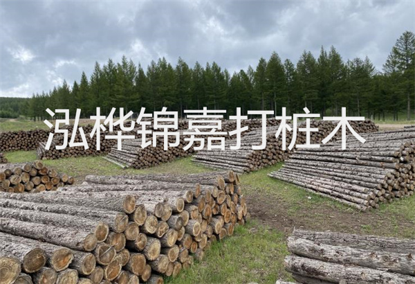 預(yù)制松木樁施工工藝:優(yōu)質(zhì)材料,高效快速,堅固耐用