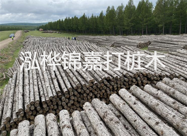 水面松木樁施工方案:打造穩(wěn)固耐用的水上建筑