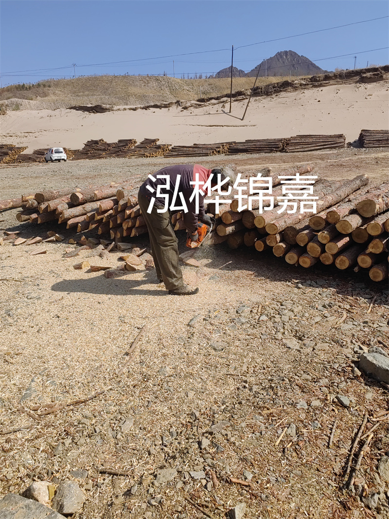 松木樁駁岸施工,打造水上風(fēng)景線