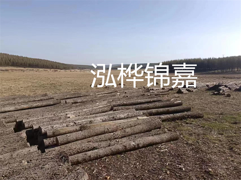 打松木樁容易出現哪些問題