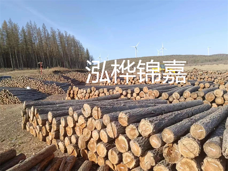 用路基松木樁施工方案提升工程質(zhì)量描述:了解路基松木樁施工方案的重要性,提高工程質(zhì)量關(guān)鍵詞:路基松木樁,施工方案,工程質(zhì)量