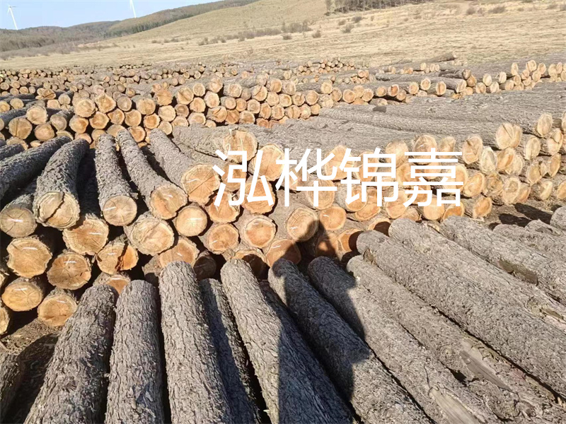 鹽城松木樁河道圍堰施工,保護生態(tài)環(huán)境,打造美麗城市